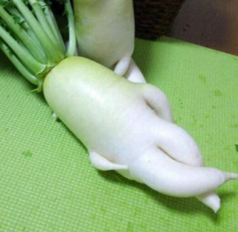 总会看到一些奇奇怪怪的萝卜