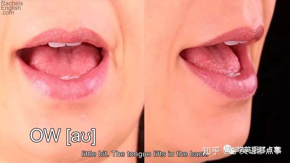 年度推荐 英语发音视频教程top3 知乎