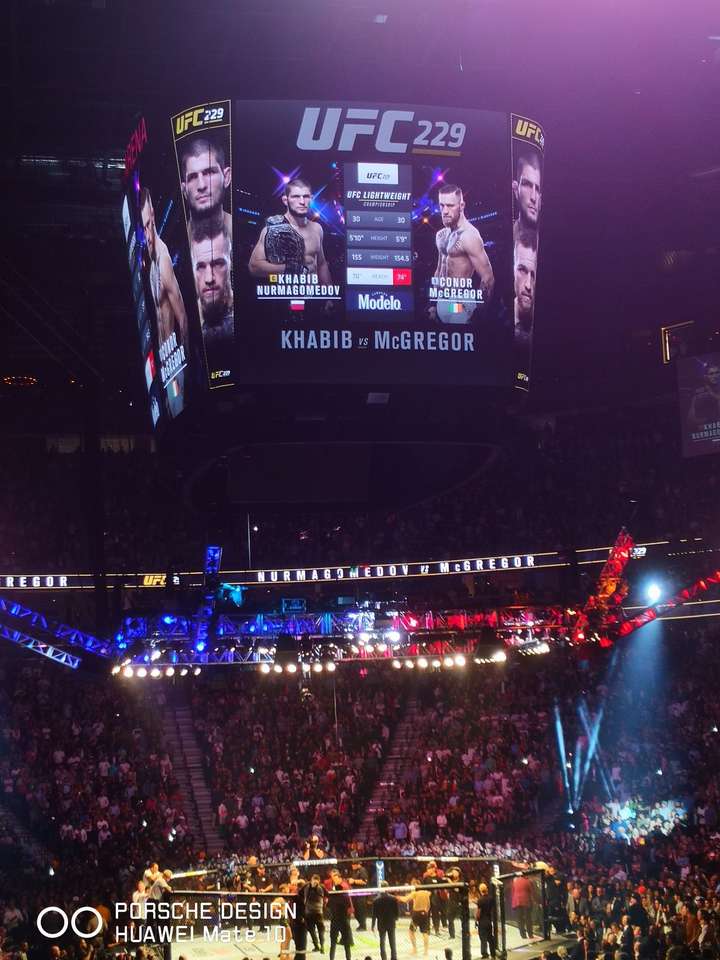 如何评价ufc229,嘴炮康纳vs小鹰哈比布的比赛?