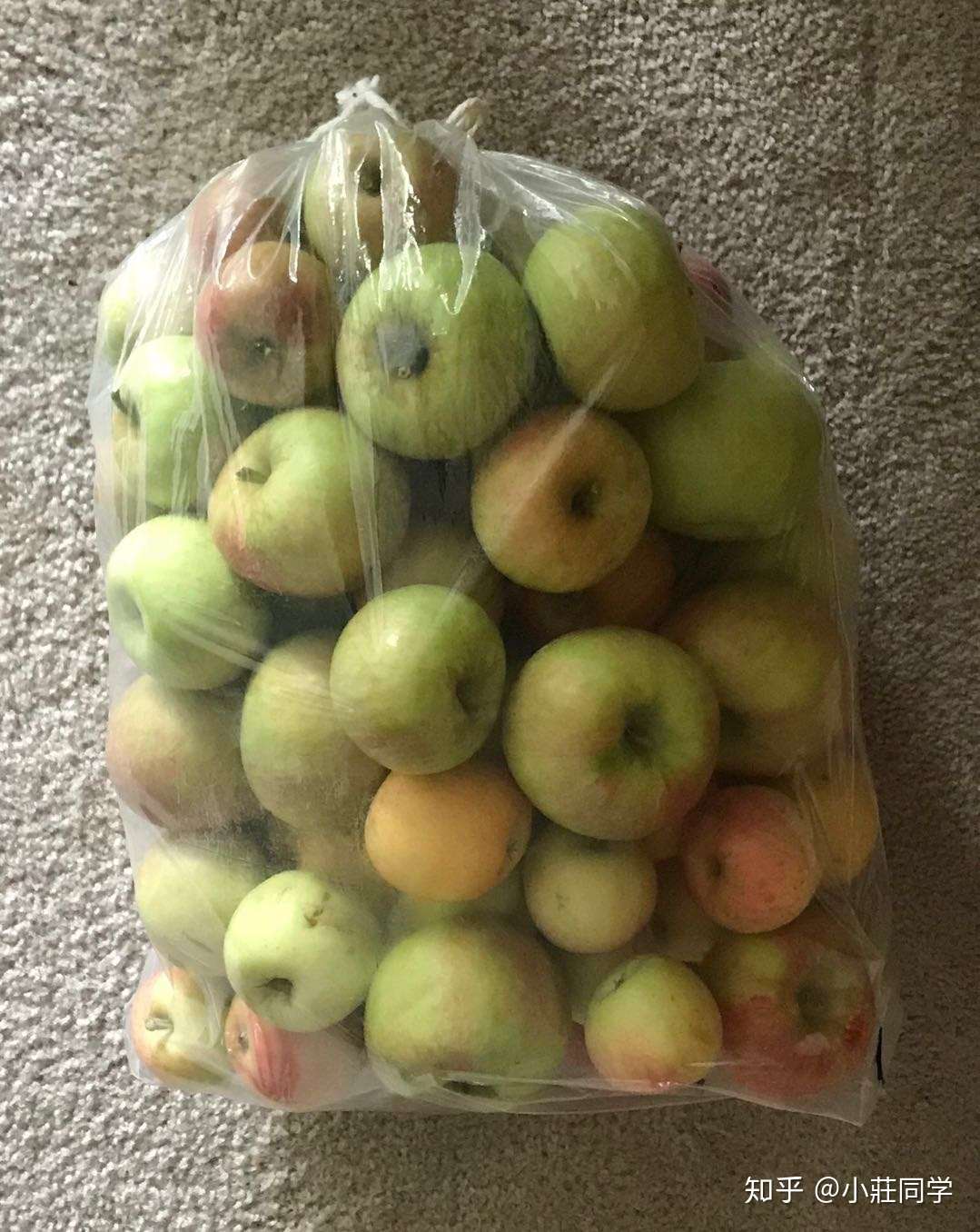 这次摘苹果发现honeycrisp这个品种非常好吃,清甜爽脆恰到好处.