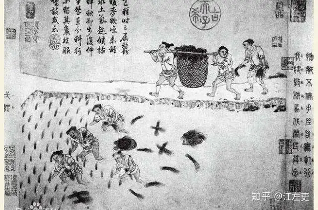 中国古代土地制度——隋唐均田制- 知乎