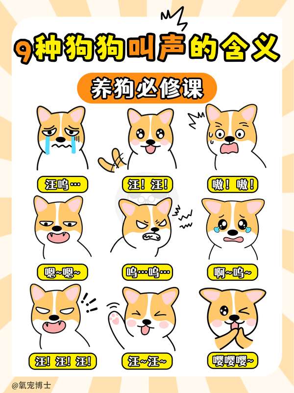 氧宠博士 的想法: ️9种狗狗叫声的含义,养狗必看 | 吠叫是… - 知乎