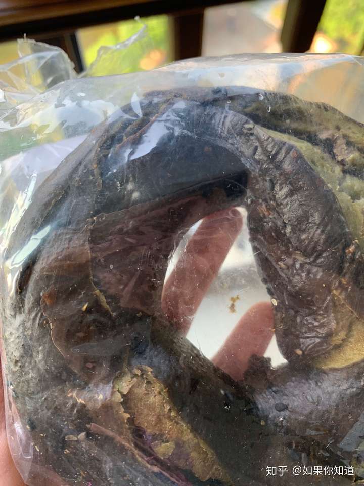 特别爱吃面包是什么体验?