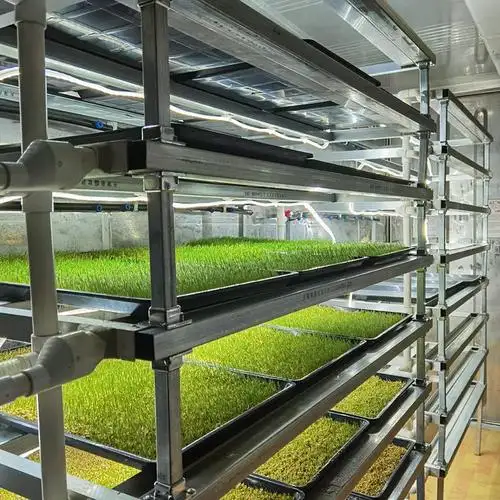 自动水培植物养殖系统