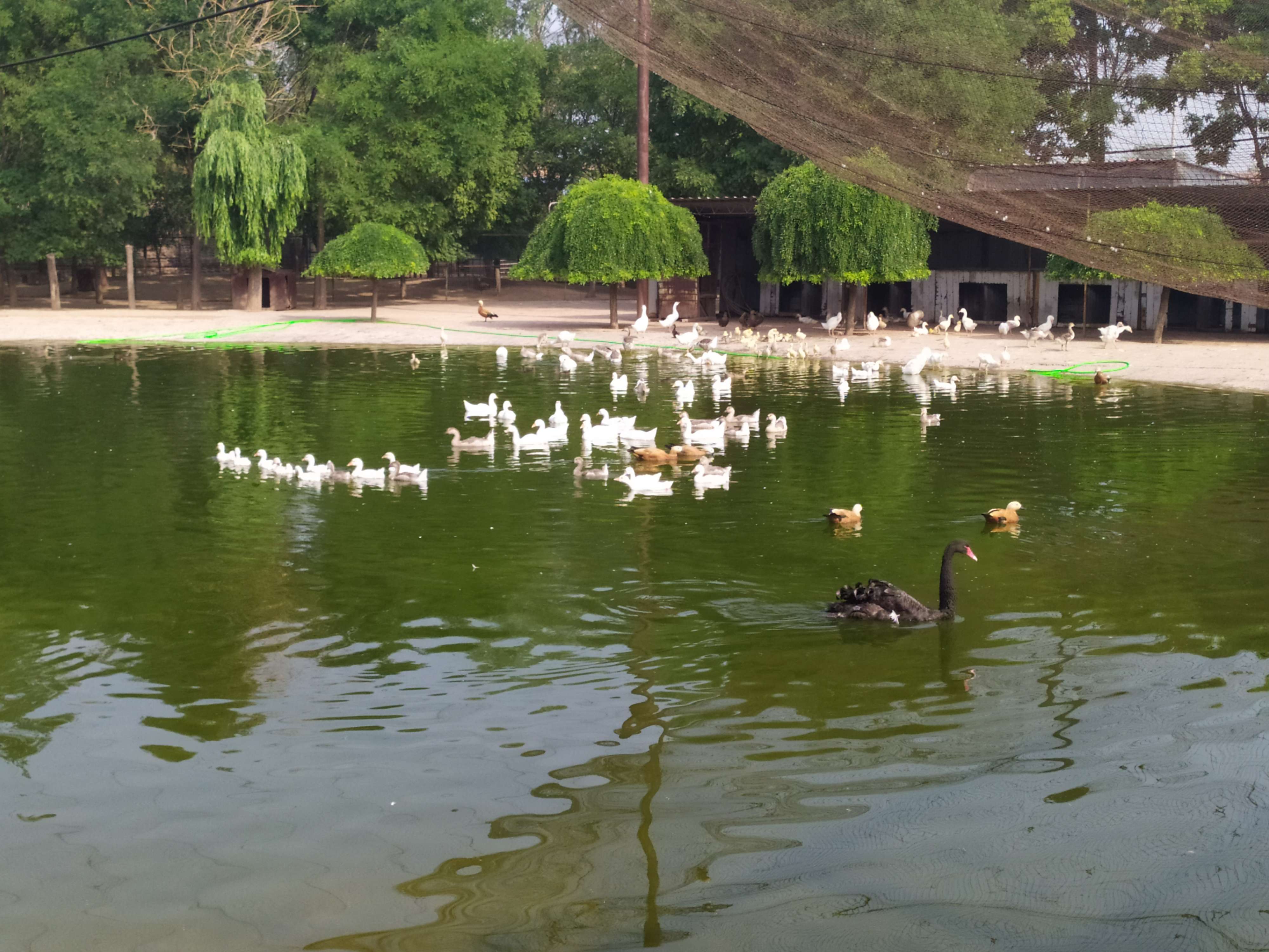 重阳 的想法: 人与自然和谐相处 | 明乐庄园位于榆次区… - 知乎