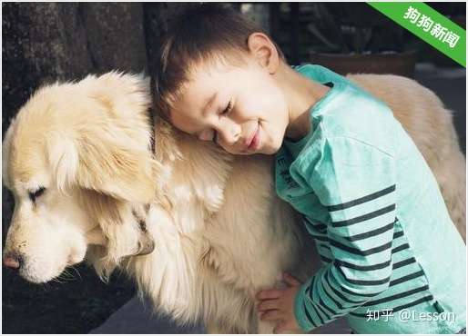 狗的一生有五个阶段 最后我哭了 知乎