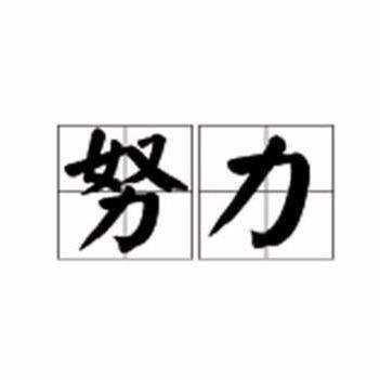 努力 - 知乎