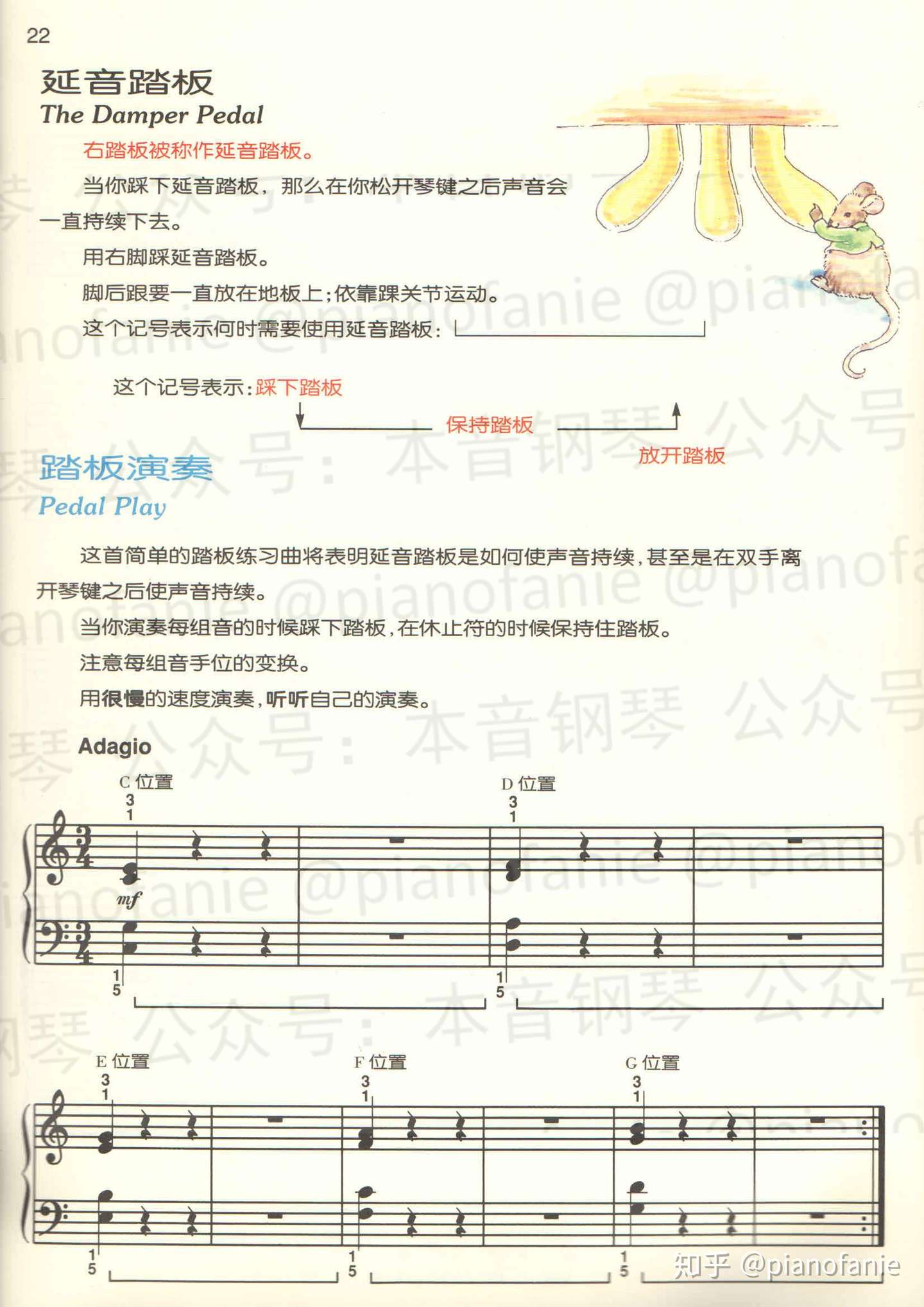 课程 乐理知识讲重点第十二课 踏板 知乎