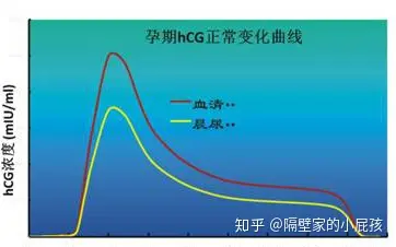 hcg曲线 曲线图图片