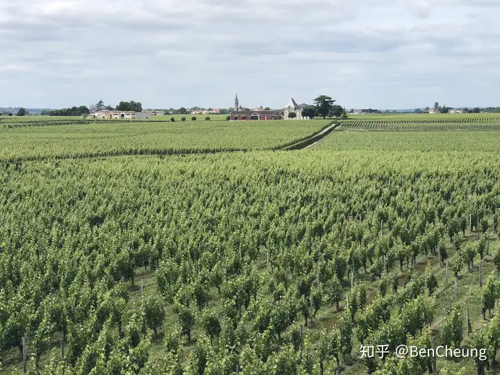 除了贵，XO和VSOP的区别还有哪些？(图2)