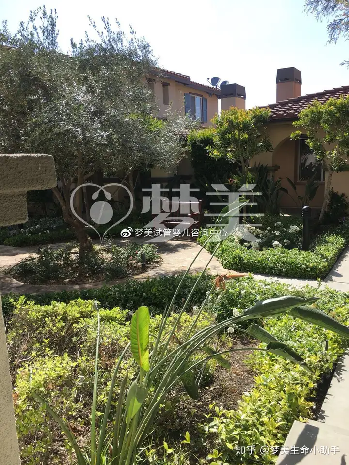 广州助孕机构（赴美试管婴儿 住宿条件怎么样？）