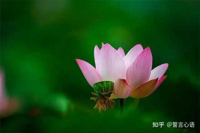 特别暖心的早安一句话，简短精致，越看越爱！（一句暖心的早安心语）
