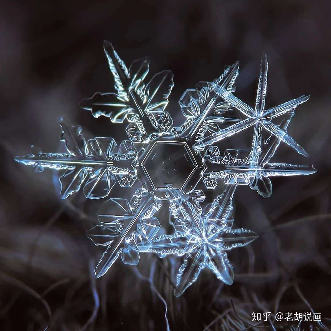 摄影 雪花可以有多美 知乎
