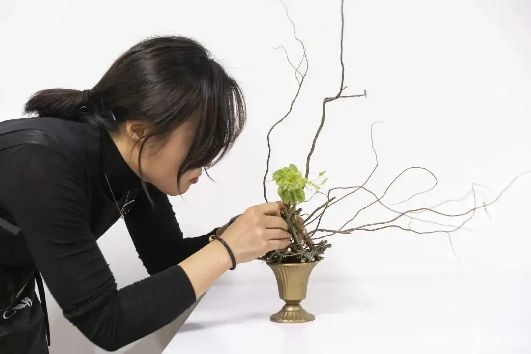 从花艺小白到大神 你只差这一步 知乎