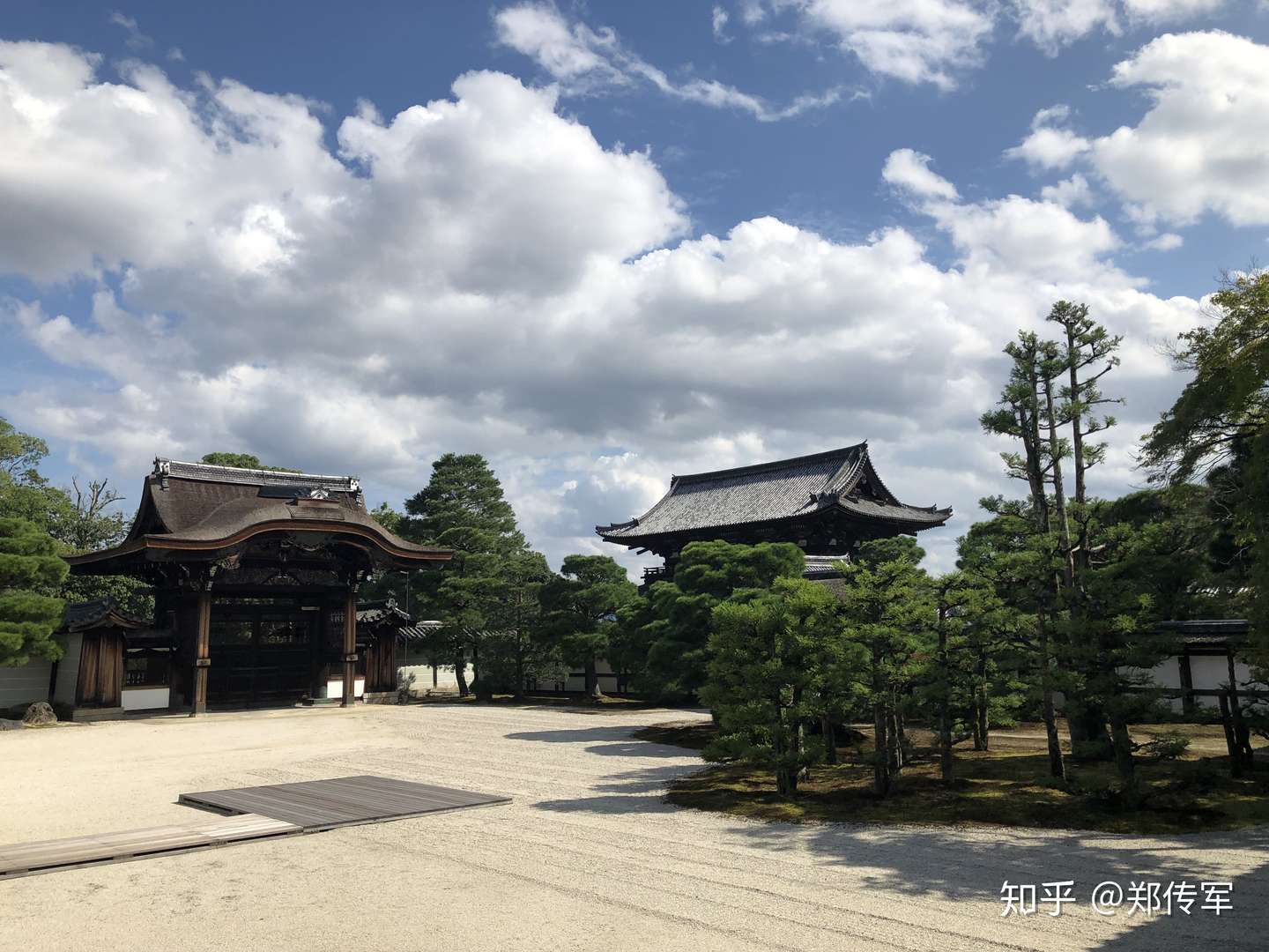 天皇家的仁和寺 京都游记 知乎