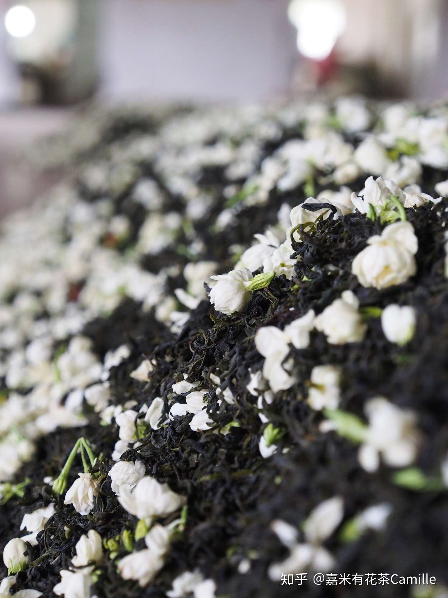 咦 茉莉花茶没有花 到底你有花还是没花 来揭秘谁才是正宗的花茶 知乎