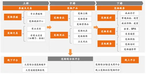 宠物行业市场分析1