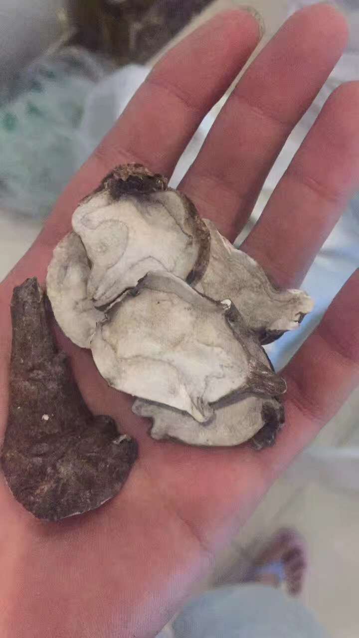 供应江油本地附子附片