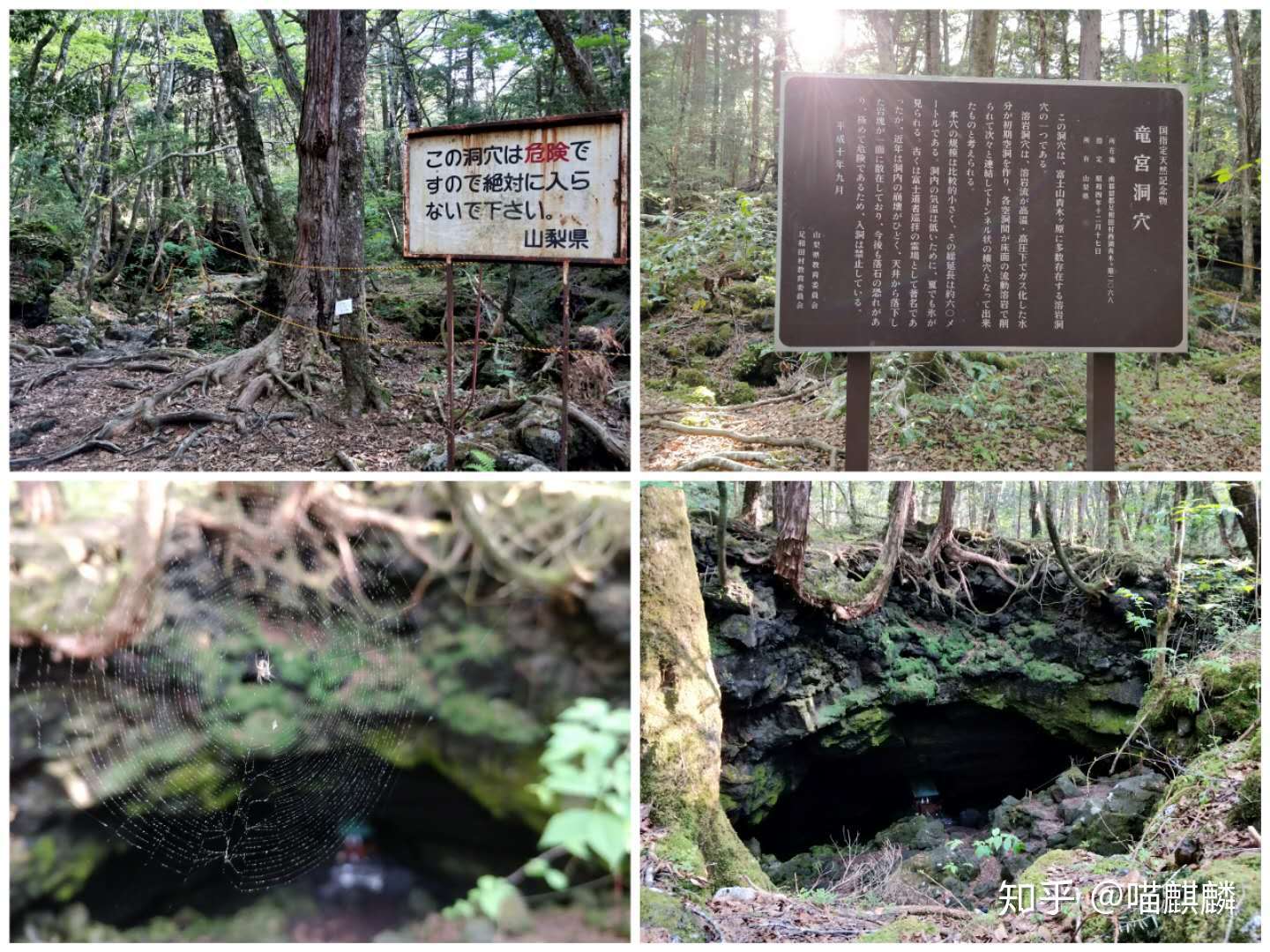 旅游攻略 箱根富士山三日游 知乎