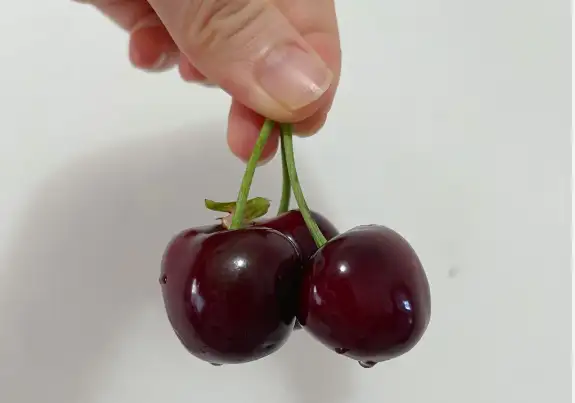 夏至来临，别忘了“补阳气”，吃2果食3肉