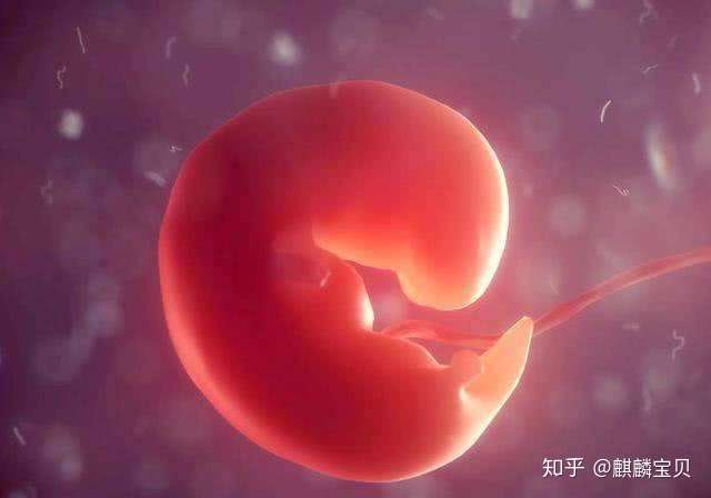 女性着遇不孕的八个症状插图(1) v2-e0fdf622425ef2042a954ad2571f2e7b_720w.jpg插图(1)
