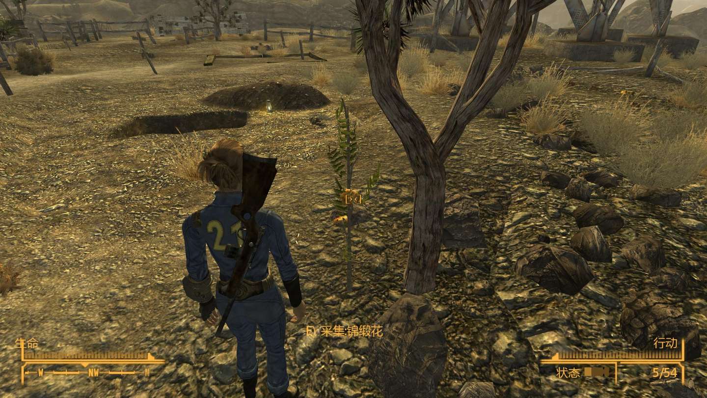 舌尖上的废土 3 荒野中的美味 知乎