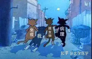 史上最全科室介绍，看这篇就够了！（上）