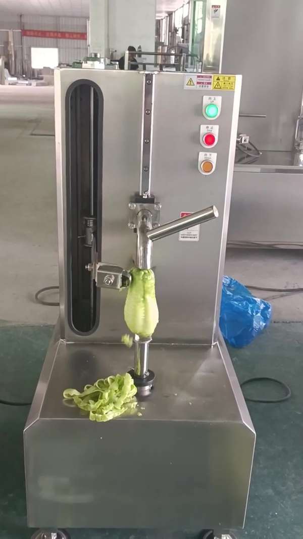 大型全自动南瓜去皮机 |  a href="https://www.zhihu.