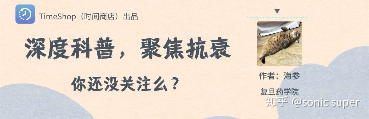 知乎专栏