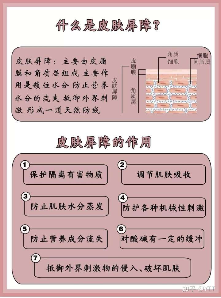 在要解决这个问题之前我们要了解什么是肌肤屏障,它有什么作用?