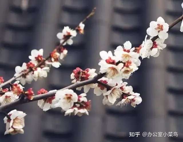 传世名言金句 句句在理 知乎