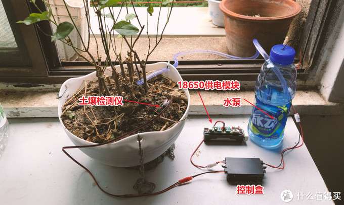 3种自动浇花方案diy 解放双手托管你的花花草草 知乎