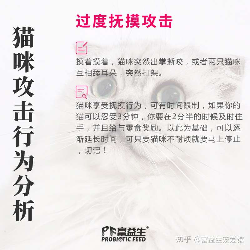 7张图看懂猫咪攻击行为 知乎