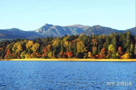 如何在秋季邂逅北海道 知乎