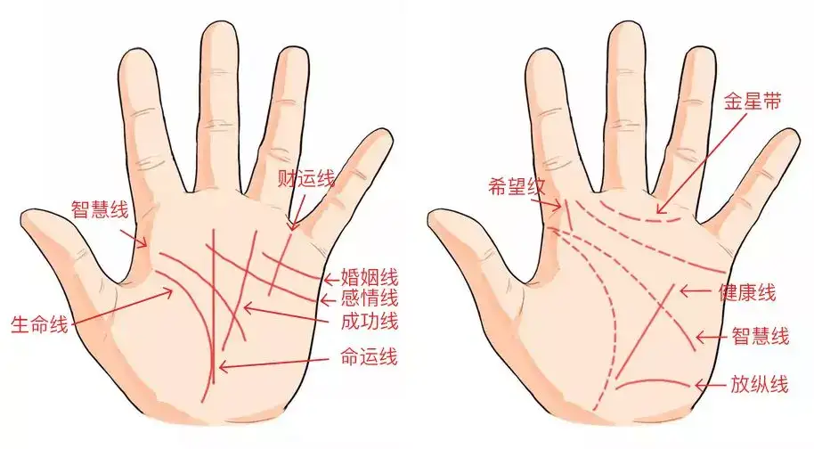 手相科普 有这些掌纹的人天生感情就不顺 知乎