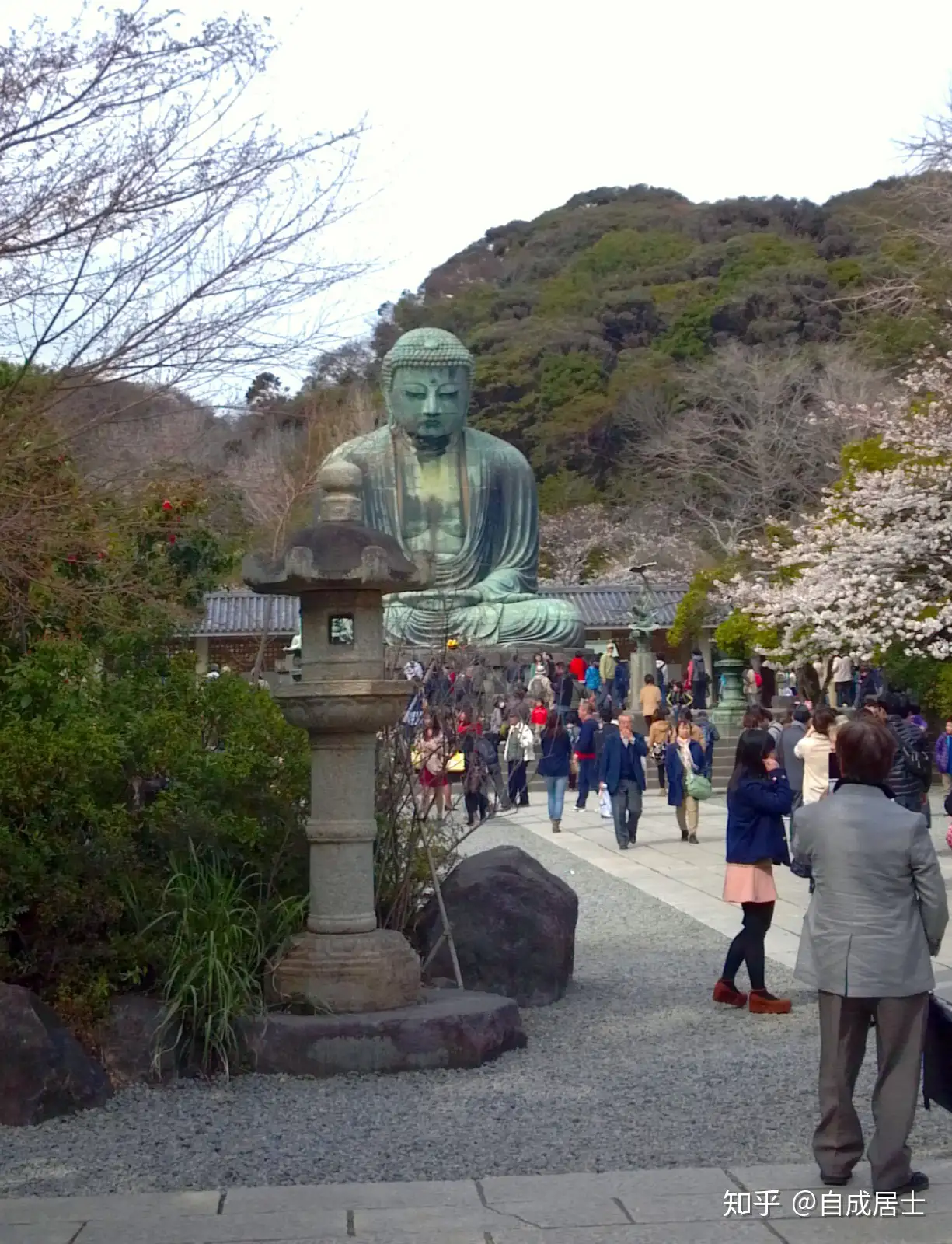 日本镰仓大佛- 知乎