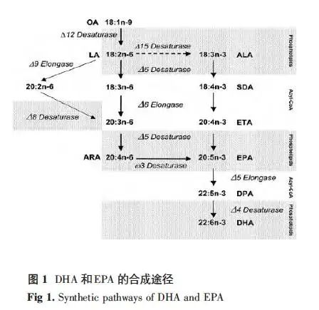 鱼油的营养价值- 知乎