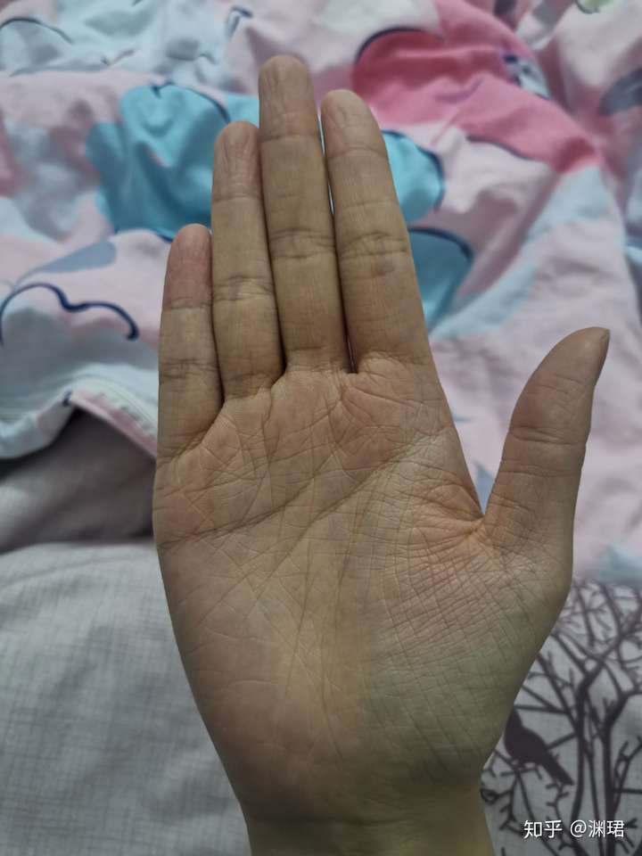 掌纹很乱是什么体验?