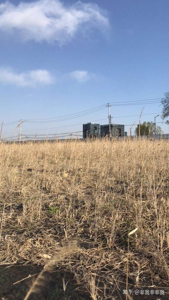 【实拍】风和荒原.