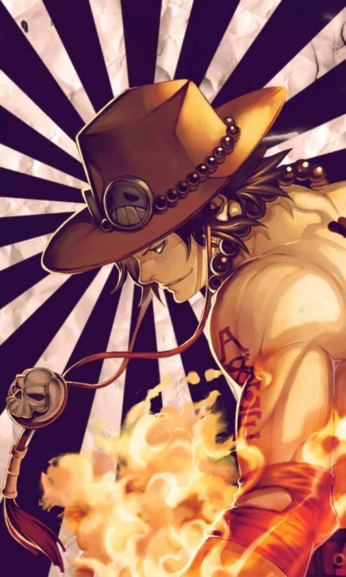 海贼王杂谈 三系恶魔果实的分析 从另一个角度分析剧情 知乎