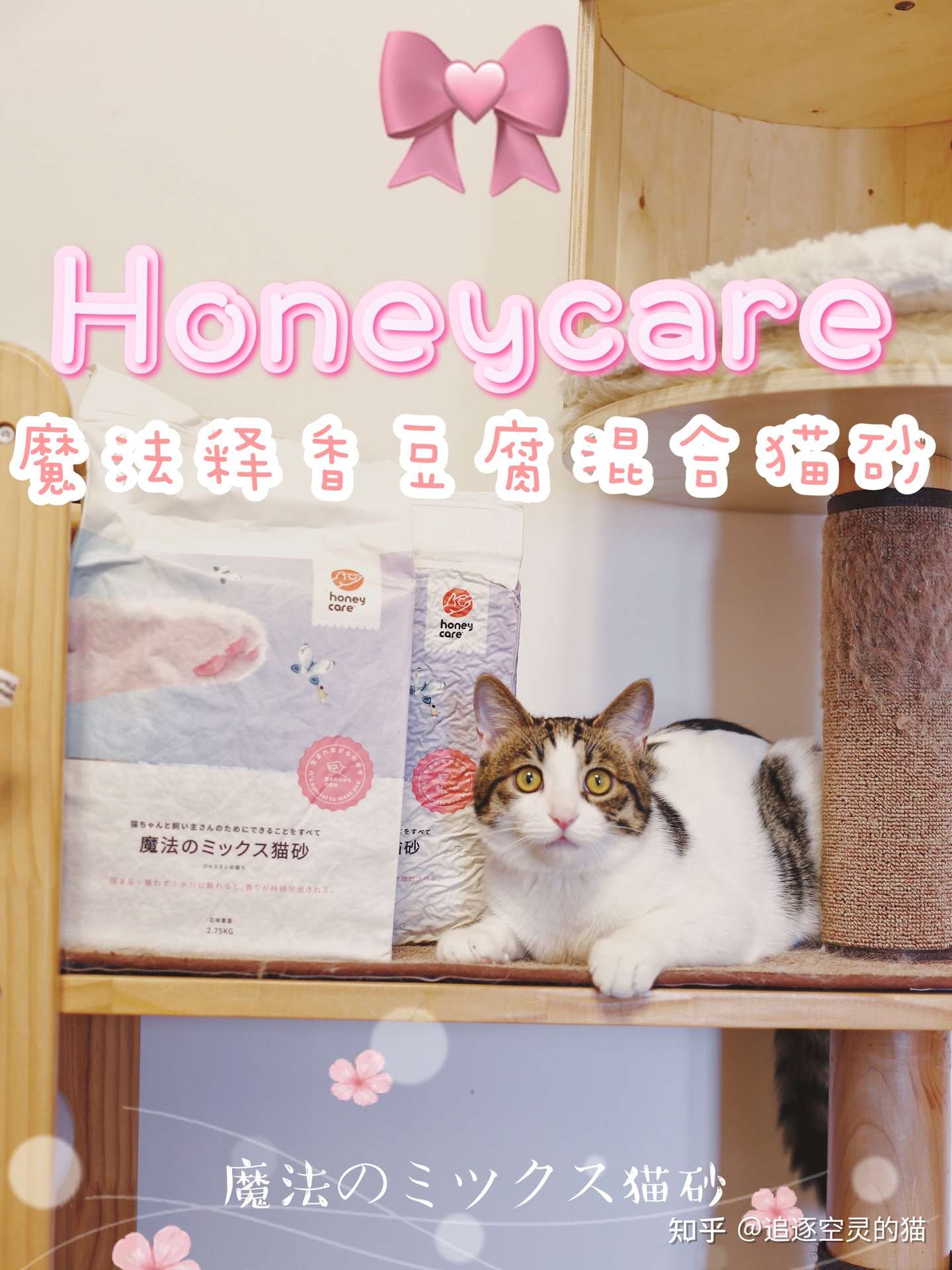 多猫家庭值得回购的猫砂 Honeycare魔法猫砂 知乎