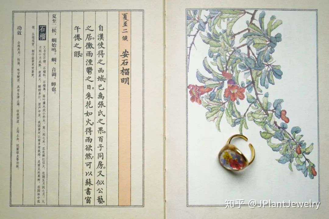 Ss J Plant Jewelry 花开未觉岁月深 夏至二候 安石榴明 植物戒指 知乎