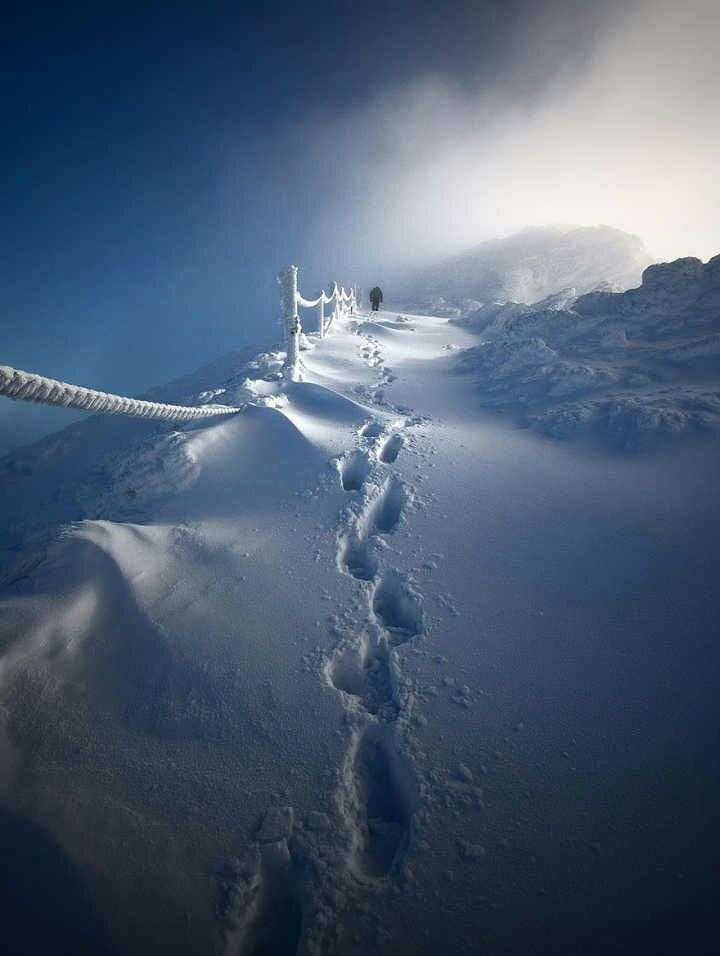 下雪孤独的图片图片