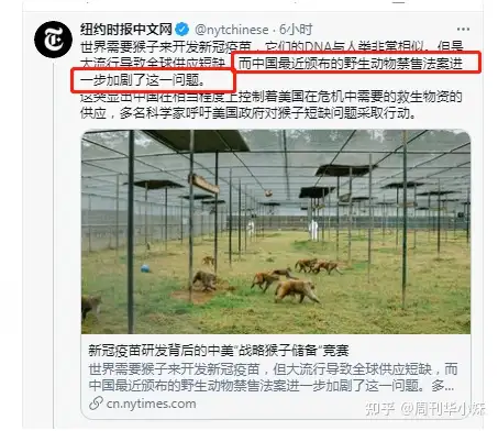 美国实验室残忍行为曝光 用猴子做活体实验 虐杀无数 知乎