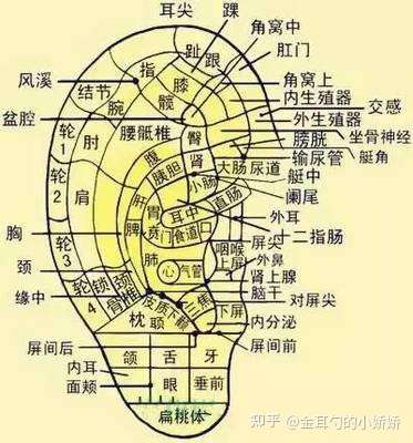油耳的日常护理你了解过吗 知乎 油耳的日常护理你了解过吗 知乎