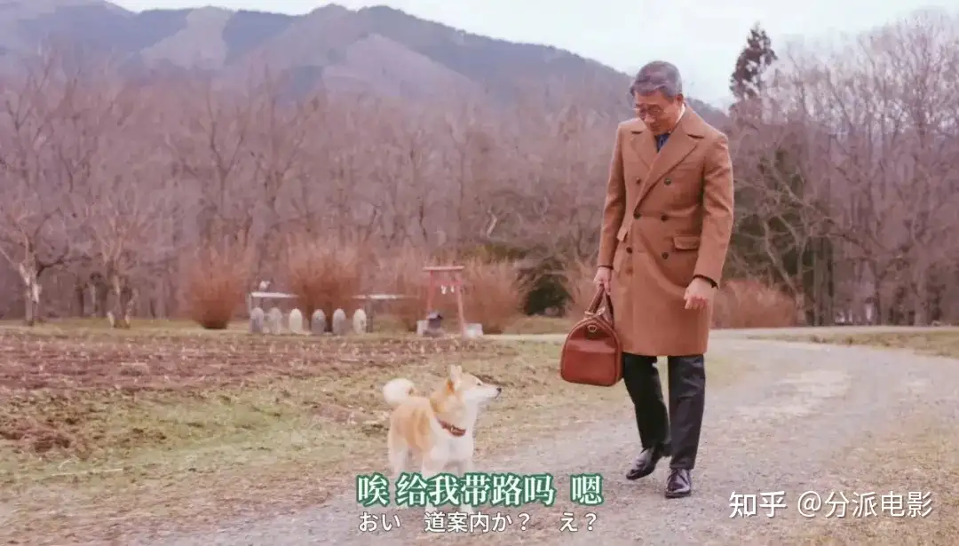 《有母亲等待的故乡》高评分,高口碑,岛国最擅长的题材!