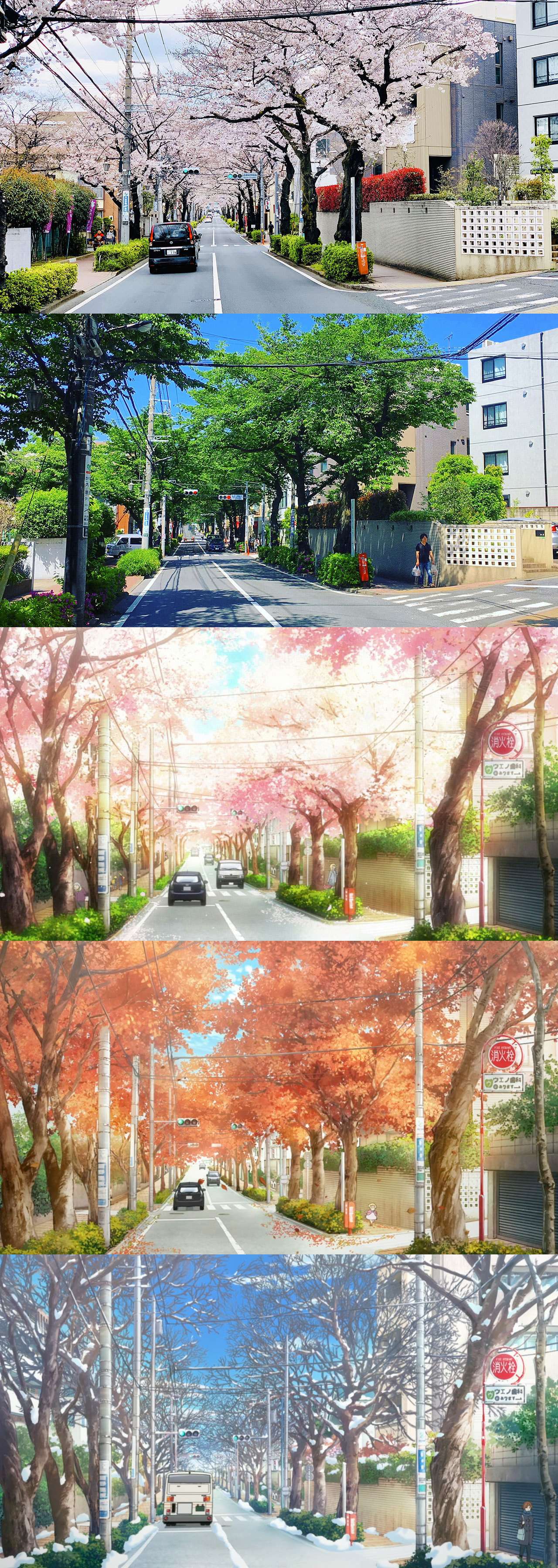 四月は君の嘘巡礼 樱花篇 与你走过练马的每一条街道 知乎