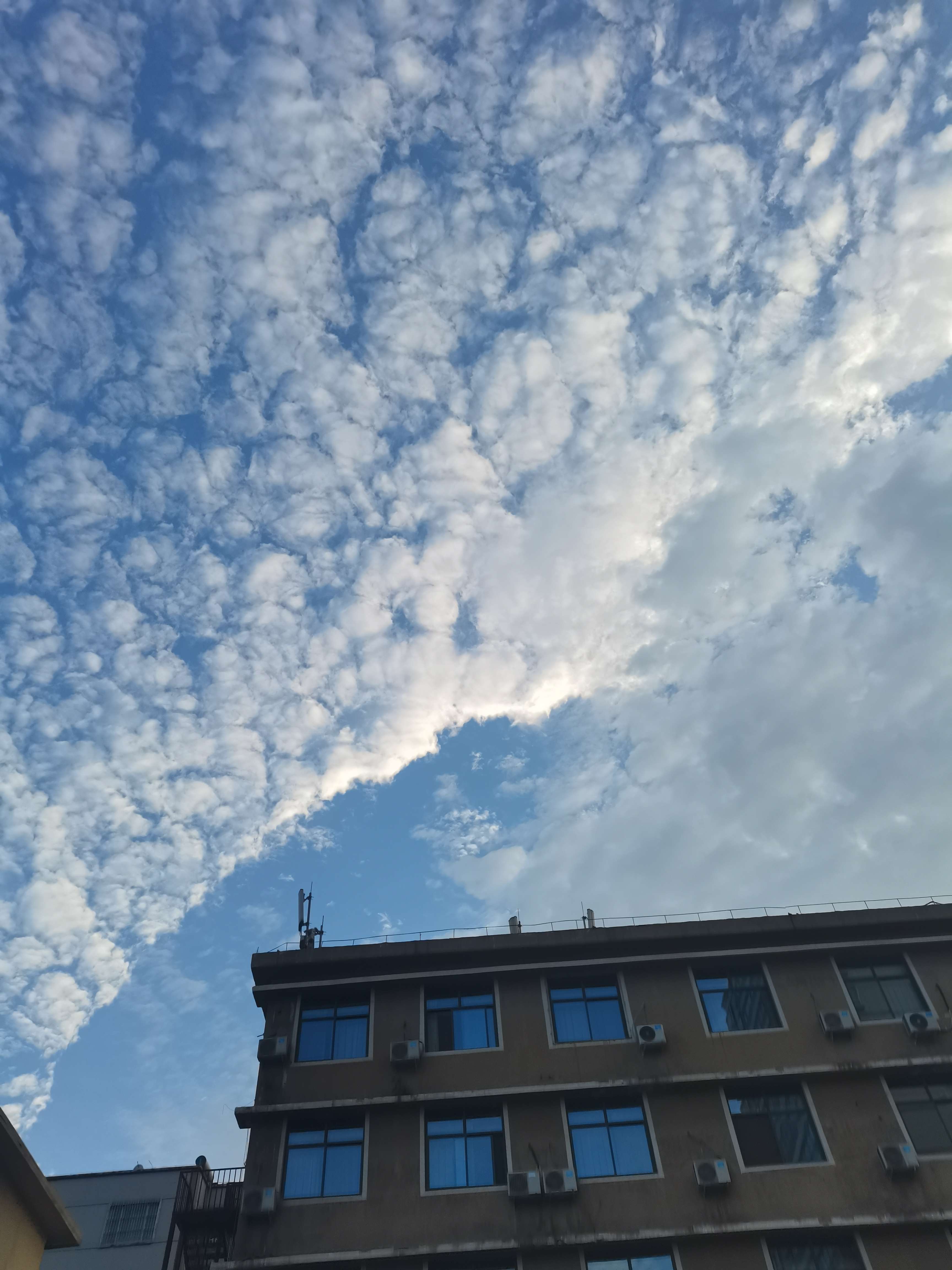 我不懂 的想法: 天气晴朗,微风吹拂,燥热的夏季也会有凉… - 知乎