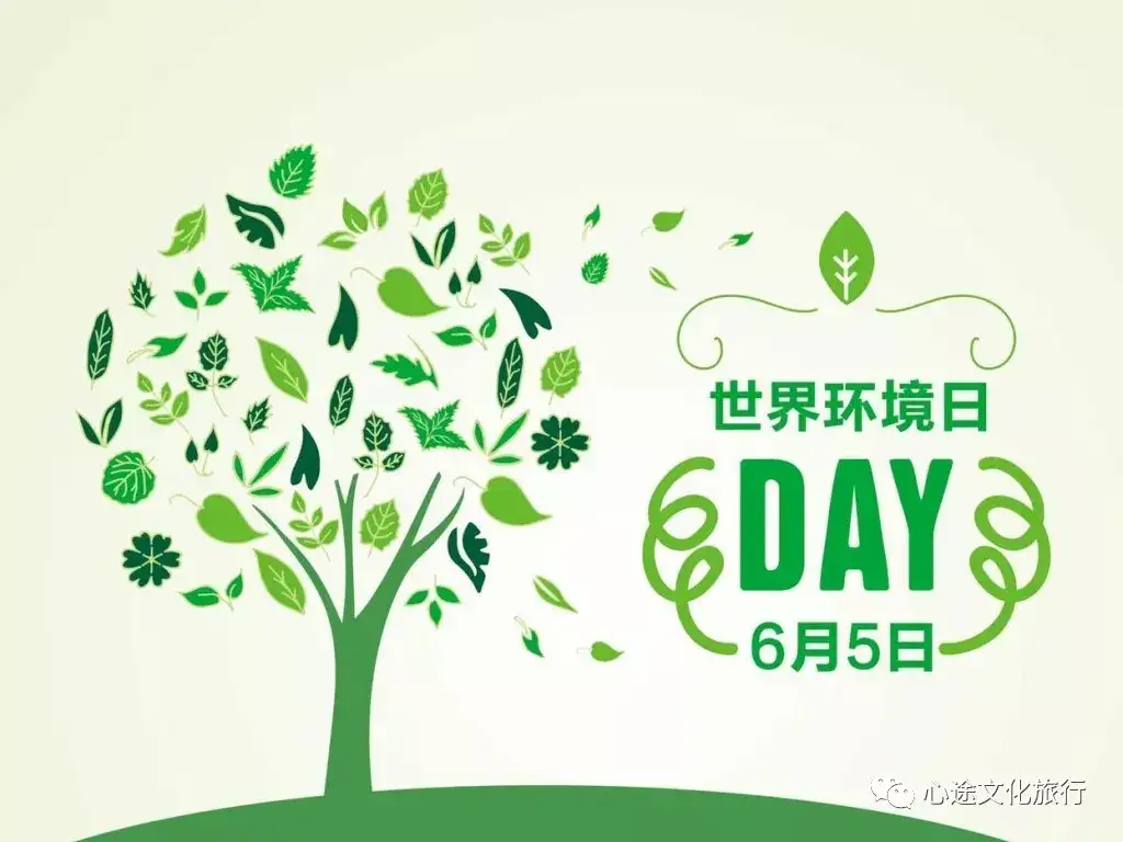 世界环境保护日 是地球还是塑料 就在你我一念之间 知乎 世界环境保护日 是地球还是塑料 就在你我一念之间 知乎