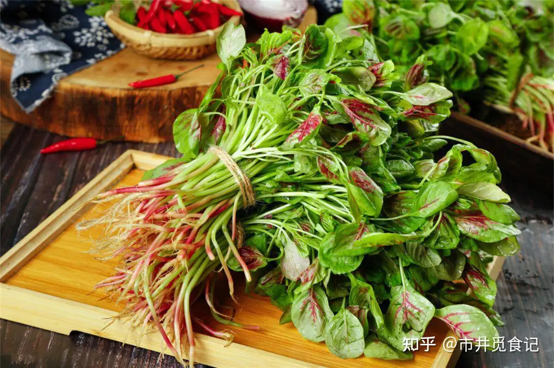 9月23日秋分，再忙记得吃“5秋菜，2秋果”，顺应节气，安然度秋- 知乎